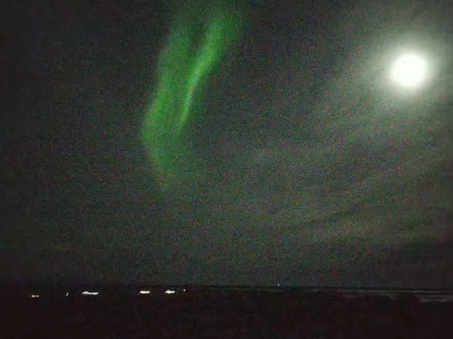 MVIMG_20171204_220509_1_exported_5919203984519905147