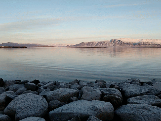 MVIMG_20171209_140401_exported_stabilized_4475372489890970158